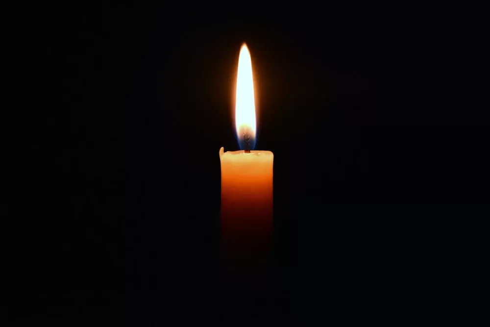 МОПД «ВЕЧНО ЖИВЫЕ» выражает соболезнования родным и близким погибших в теракте в Крокус Сити Холле